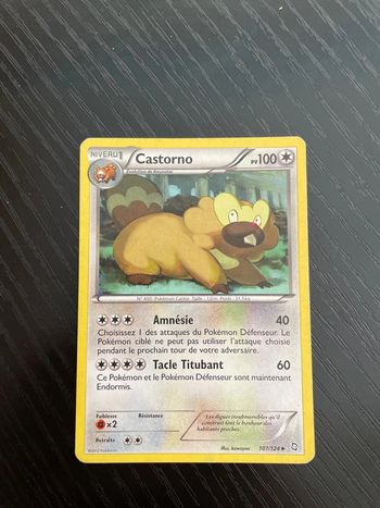 Carte Pokémon Castorno 107/124