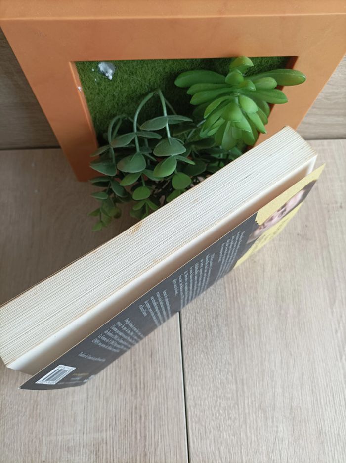 Livre Au-delà des pyramides Douglas Kennedy - photo numéro 4
