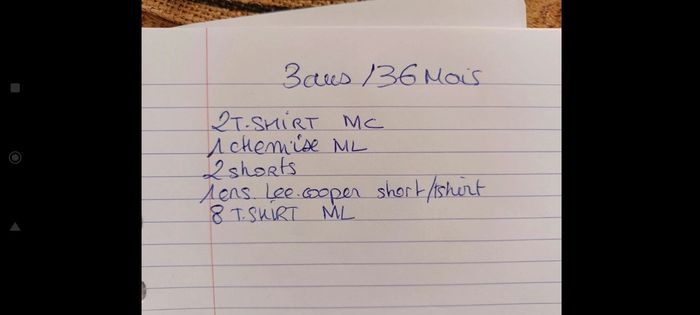 Lot 14 vêtements 3 ans - photo numéro 4