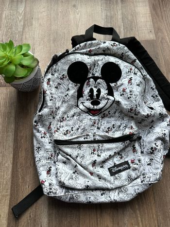 - Sac à dos Disneyland Paris - Acheté à Disney  - Très bon état 