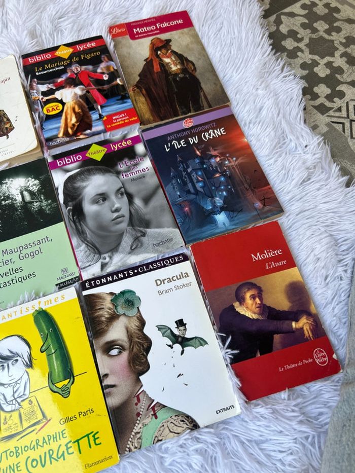 Livre au choix, littérature classique pour collège ou lycée - photo numéro 3