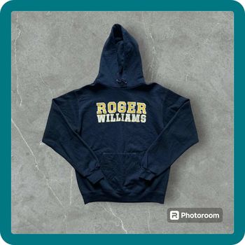 Sweat à capuche / Hoodie Champion USA universitaire