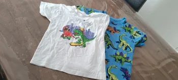 Lot t-shirts Dino 4A Primark
