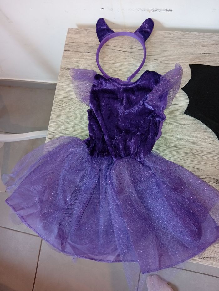 Déguisement pour fillette - photo numéro 4