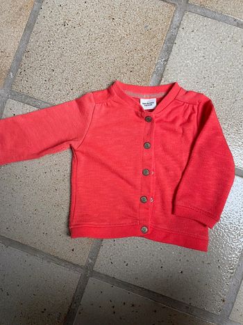 Gilet orangé 9 mois TAO