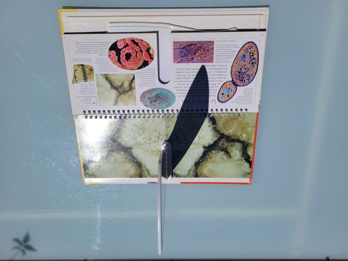 Superbe livre Nature en 3D 🪰 La vie microscopique 🪲 - photo numéro 4