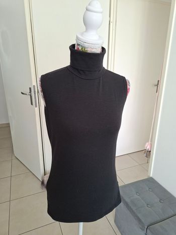 col roulé sans manche