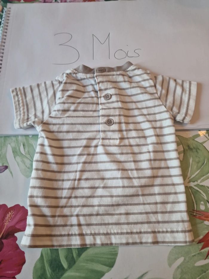 Tee-shirt - photo numéro 2