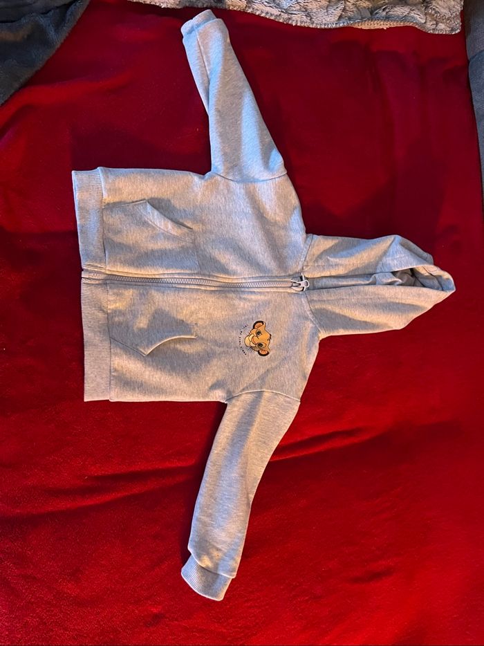Veste grise simba - photo numéro 2