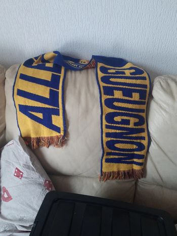 Écharpe de supporter gueugnon