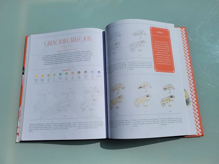 Livre 30 espèces à dessiner en pas-à-pas 🦩 Animaux à sauver 🦒 Beaux-Arts pour la terre (72) - photo numéro 9