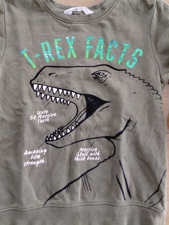 Pull 8 ans - photo numéro 9