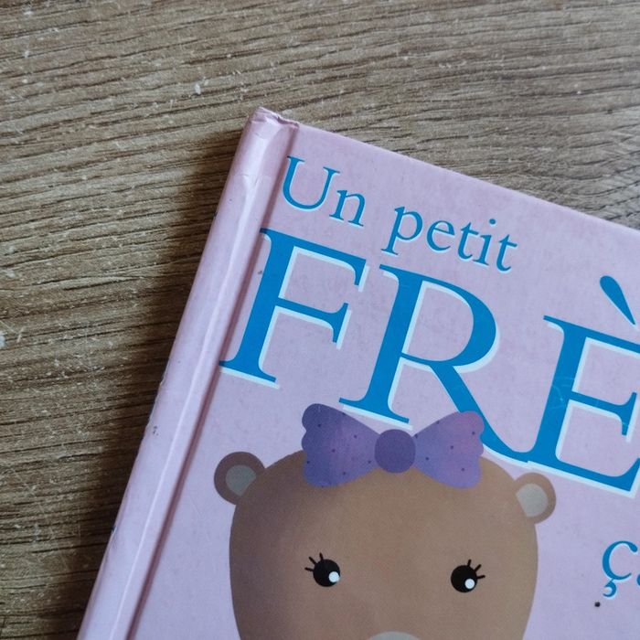 📚 Livre Un petit frère ça sert à quoi ? #emyfleury_livres - photo numéro 3