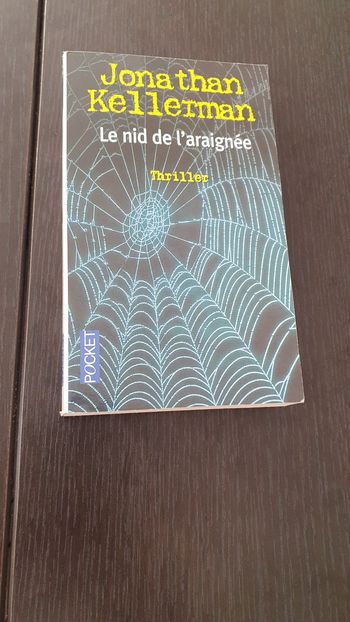 Le nid de l'araignée