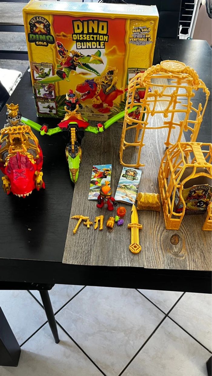 Trésor X dino gold Treasure - photo numéro 3