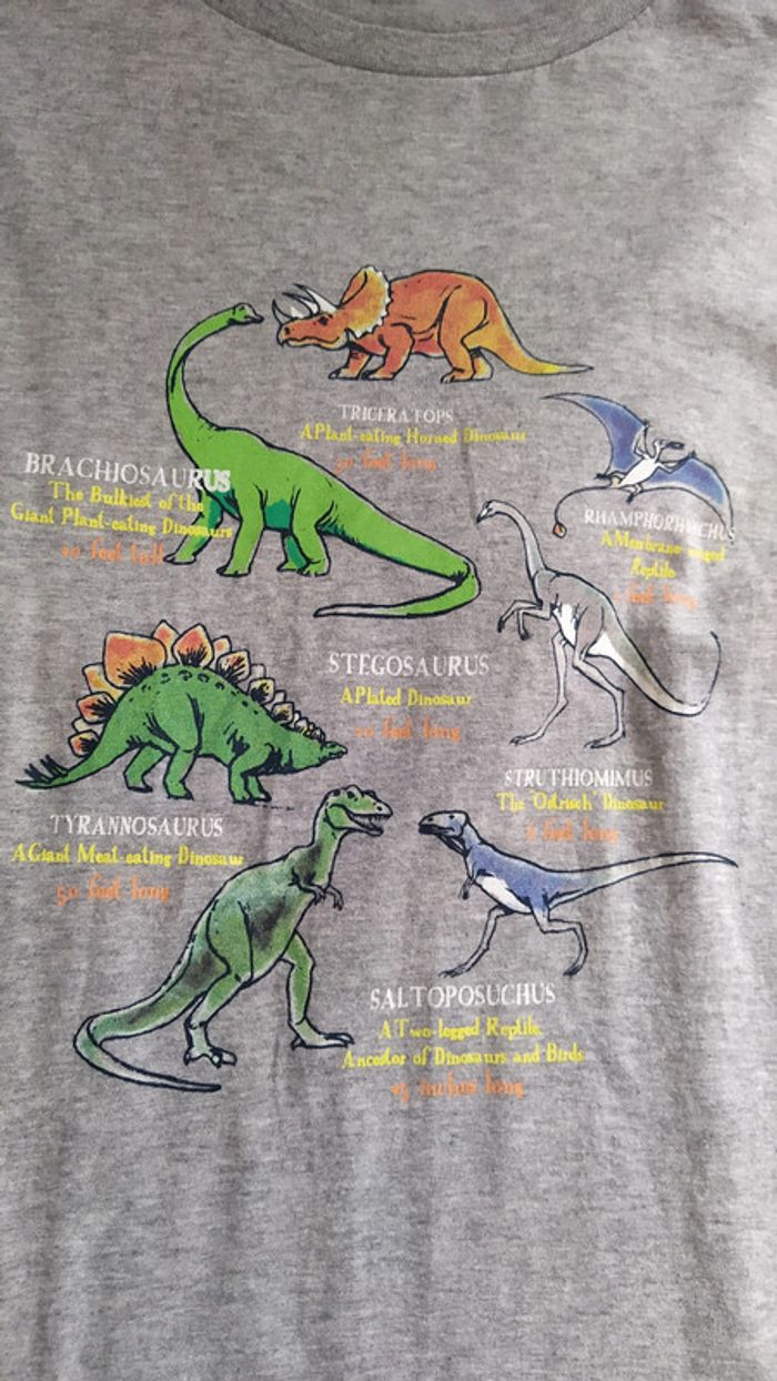 Tee-shirt neuf dinosaures 12 ans