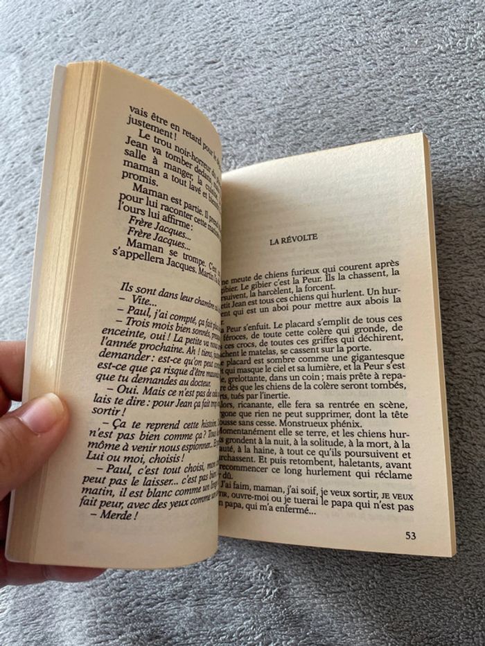 livre l’enfant dans le placard - photo numéro 3