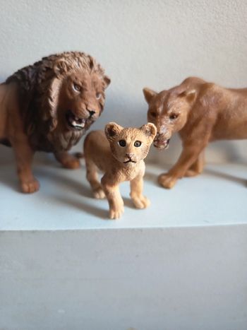 Famille lion schleich