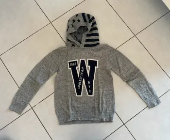 Pull fin à capuche gris TAO 10 ans