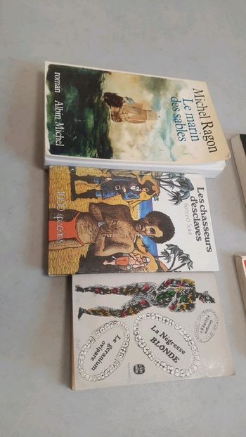 Lot 3 livres voyage et esclavages