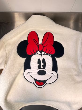 Polaire Mickey fantasia Disneyland M