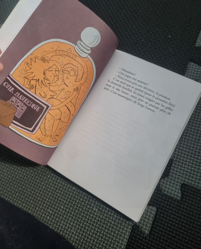 Livre lecture avec jeux Princesse Histamine à partir de 8ans - photo numéro 4