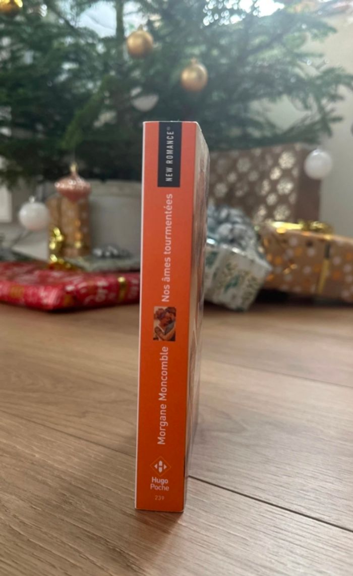 Nos âmes tourmentées de Morgane Moncomble - photo numéro 2