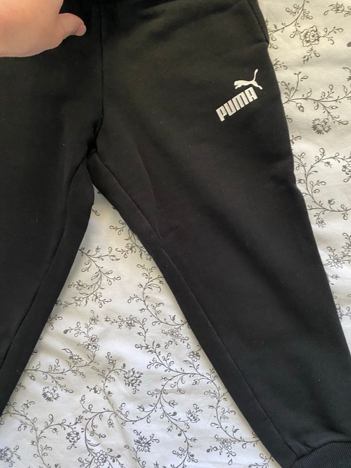 Jogging puma - photo numéro 4