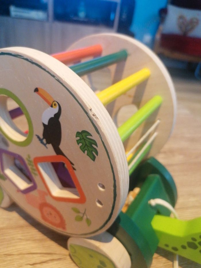 Tortue à formes - photo numéro 6