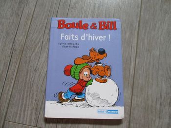 boule et bill faits d'hiver