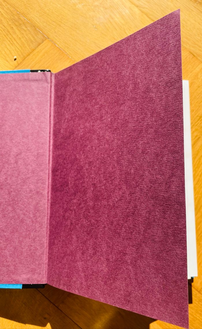 🐬 Les dauphins et la liberté - photo numéro 3