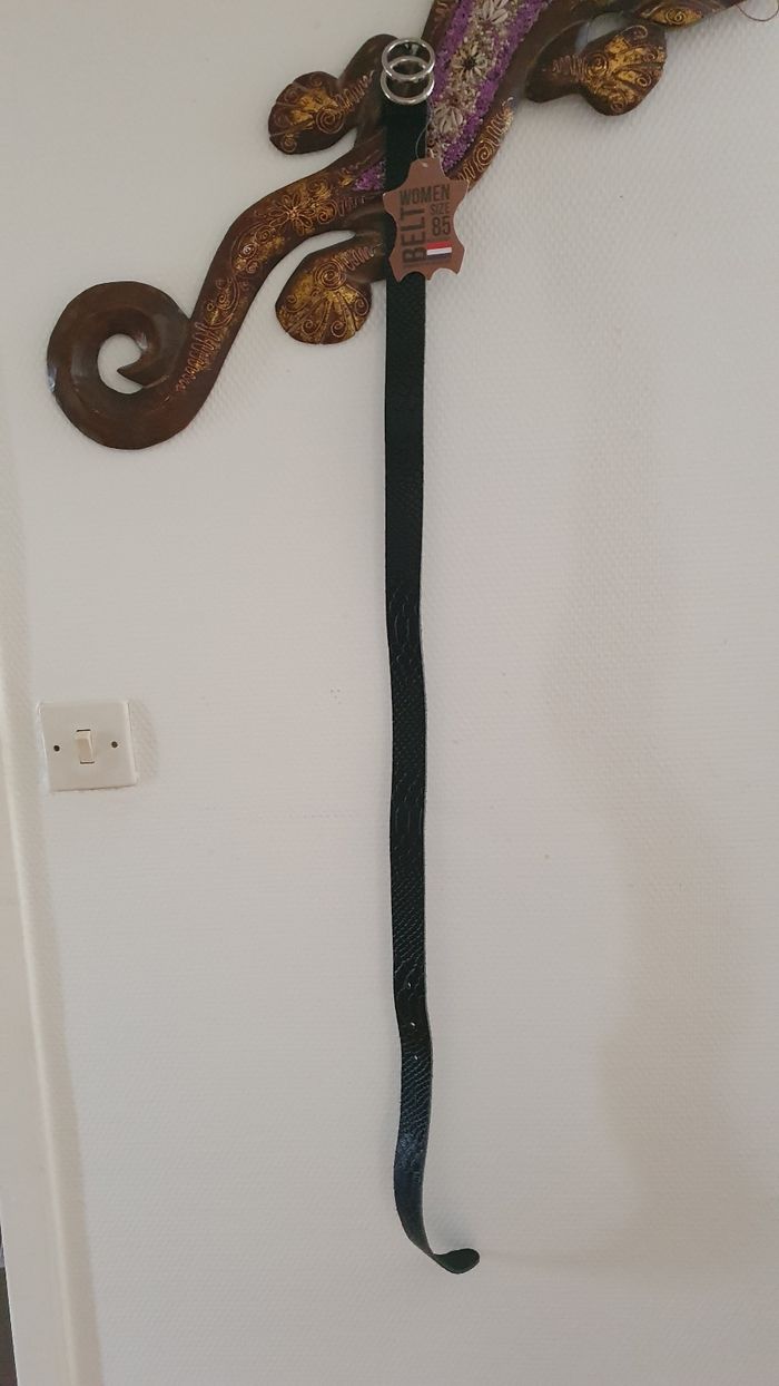 Ceinture noire - photo numéro 4
