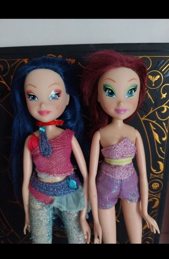 2 Poupées Musa et Tecna Believix Winx Club Smoby saison 4 Fairy of - photo numéro 2