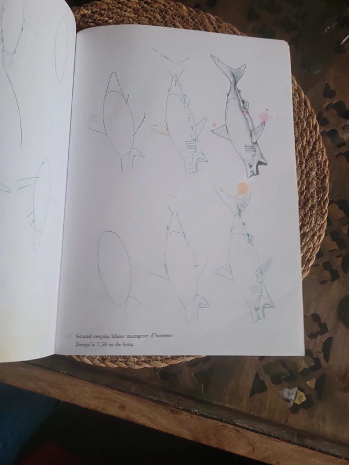 50 dessins d animaux  marins - photo numéro 8