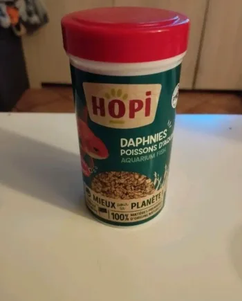 Nourriture poisson rouge