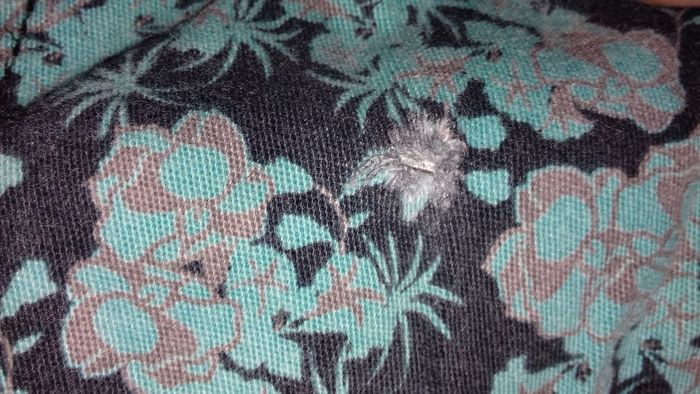 Pantalon - photo numéro 2