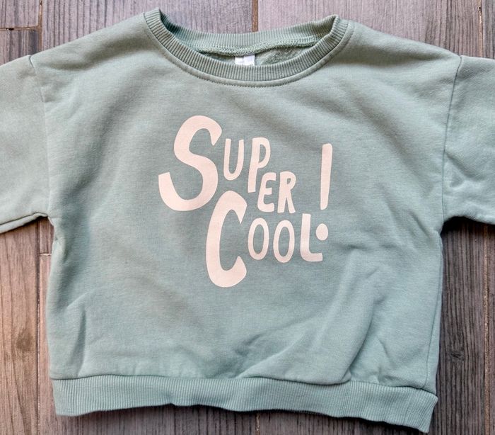 Lot de 4 pulls 18 mois - photo numéro 4