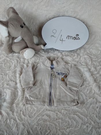Gilet Garçon 2/4 mois Winnie l'ourson Tigrou Disney H&M 100% coton