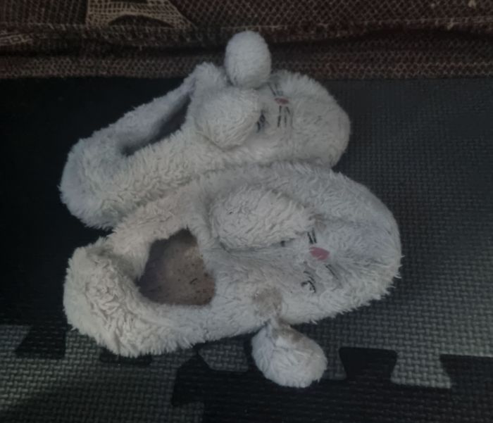 Chaussons chatons 31 - photo numéro 2