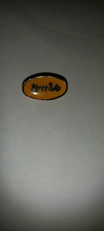 Pin's amis