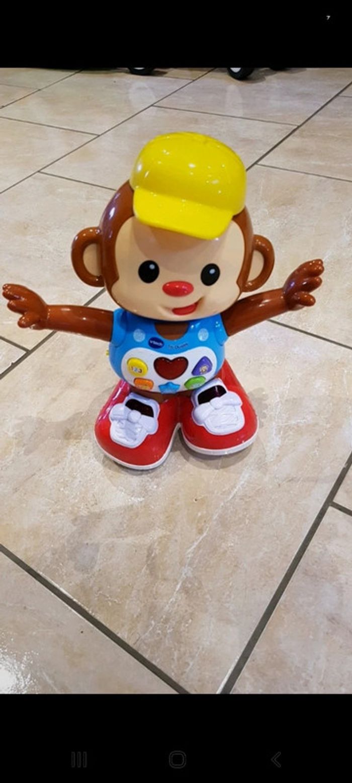 Titi ouistiti