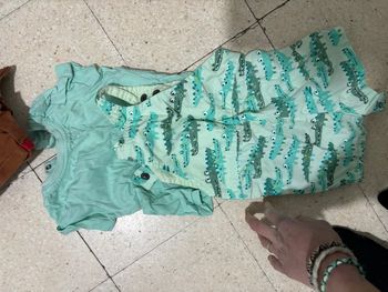 Ensemble crocodile dpam 