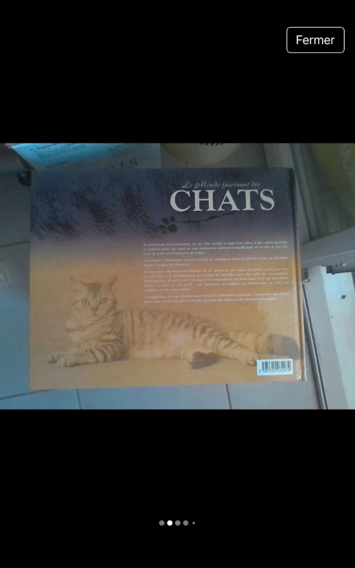 Le monde fascinant des chats - photo numéro 2
