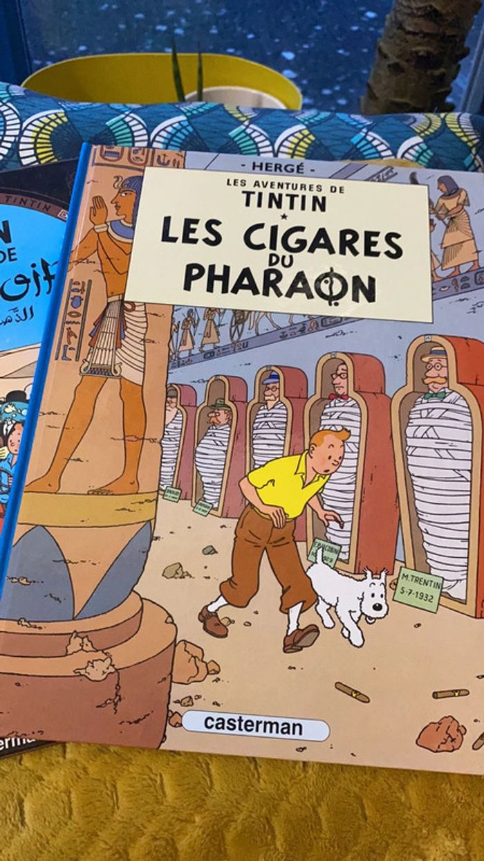 Lot de livres collector tintin - photo numéro 2