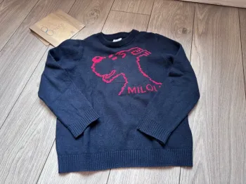 Pull Tintin Milou