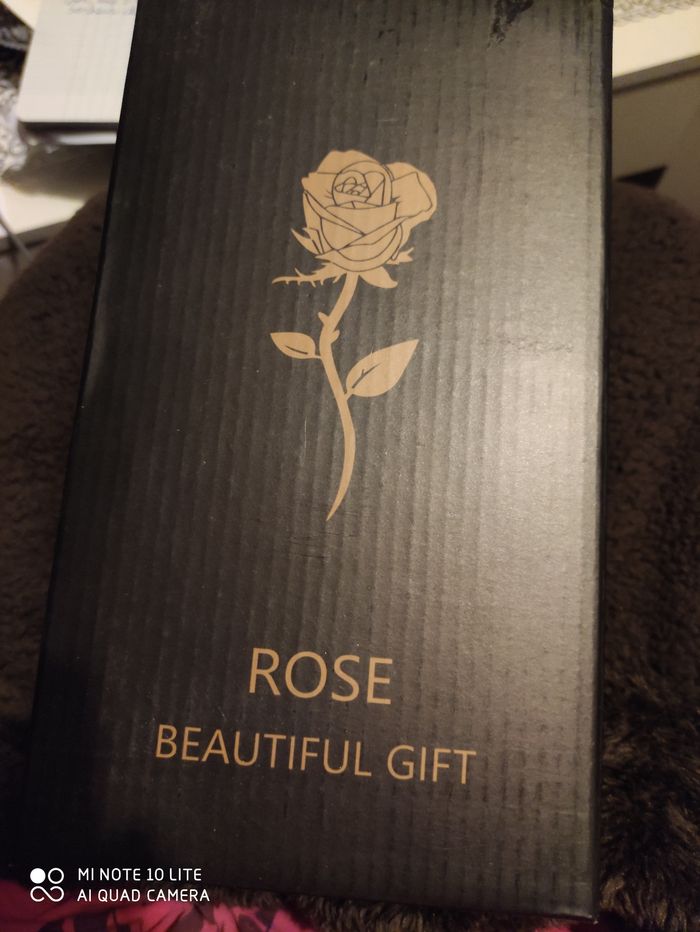 Rose lumineux - photo numéro 3