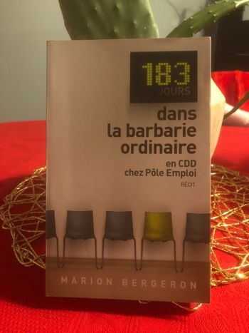 Dans la barbarie ordinaire en CDD chez pôle emploi  - Marion Bergeron