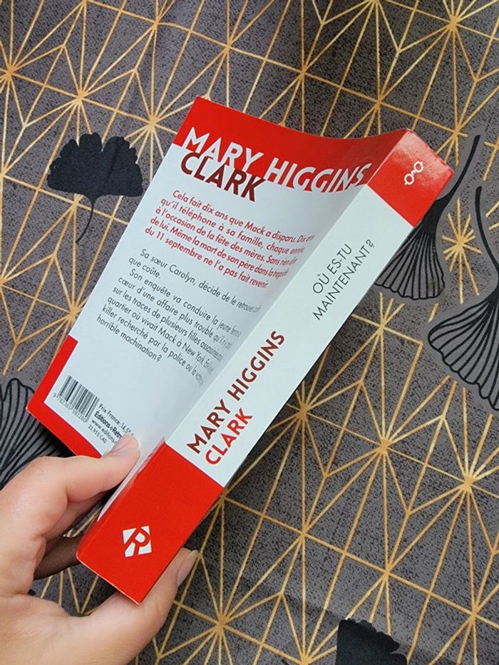 Où es-tu maintenant ? - photo numéro 2