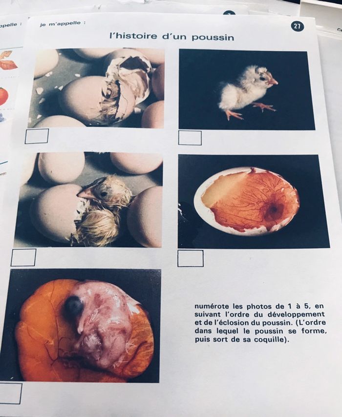 Activités d’éveil pour les 5 à 7 ans - photo numéro 4