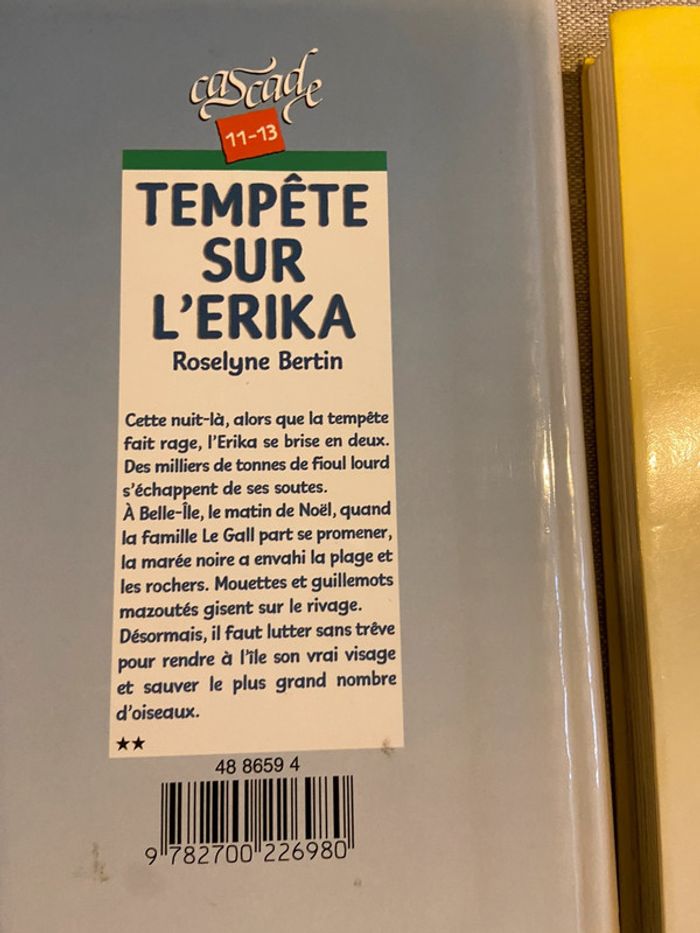 Lot de cinq romans jeunesse lecteurs 10/12 ans - photo numéro 8